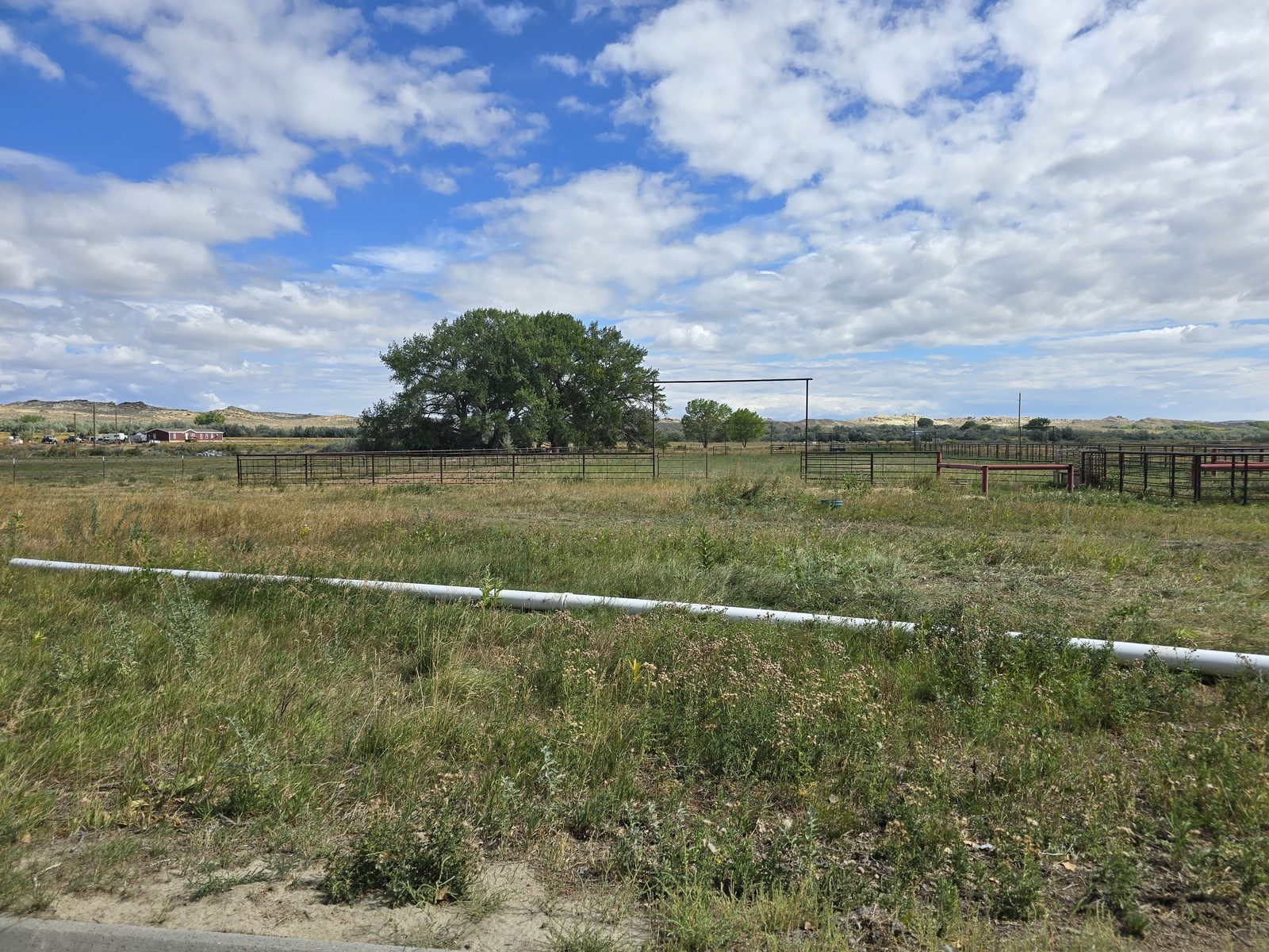 Certified tree care professionals Idaho Falls