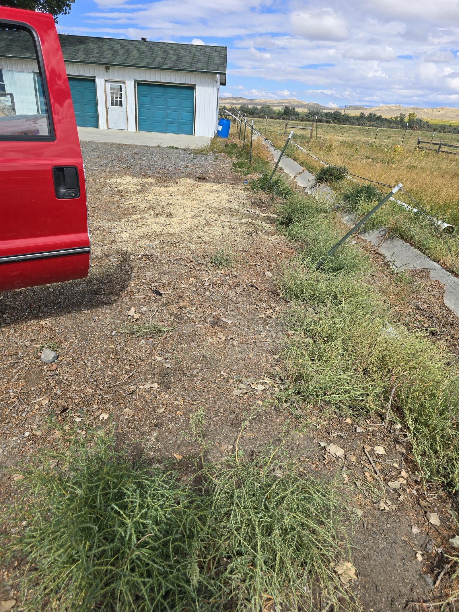 Professional tree removal in Idaho Falls ID